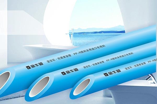 金牛管總代理需要多少錢？乖乖！這你怎么選？
